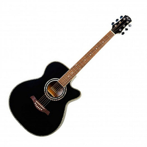 Flight F-230C BLK Acoustic guitar